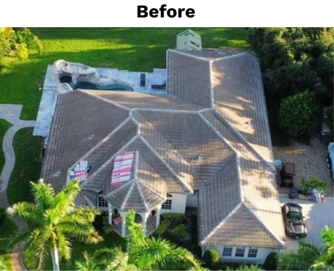 Michael S Before 1 (1)